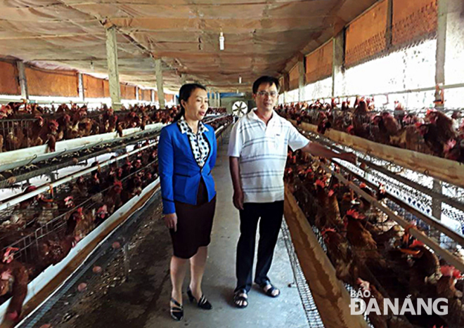 Cán bộ Hội Nông dân quận Cẩm Lệ trao đổi với anh Nguyễn Văn Liệu, phường Hòa Thọ Tây (bên phải), chủ trang trại nuôi gà chuyên trứng với quy mô 2.000 con đem lại giá trị kinh tế cao.