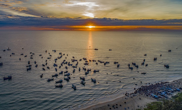 A large number of fishing boats are heading to the shore