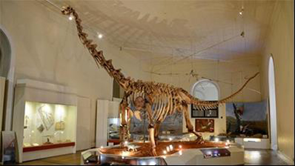 Bộ xương Maxakalisaurus, loài khủng long lớn nhất được trưng bày tại Bảo tàng Quốc gia ở Rio (trước đám cháy).