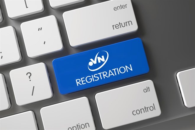 Number of national registered domain names .vn surges. (Photo: VNS)