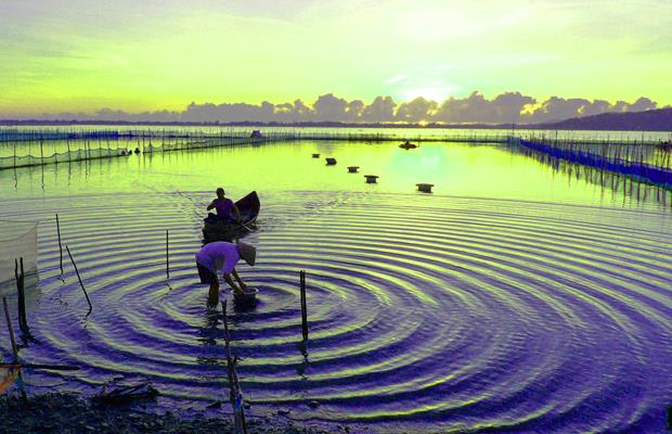 The O Loan Lagoon is blessed with airy space, and fresh, and cool climate