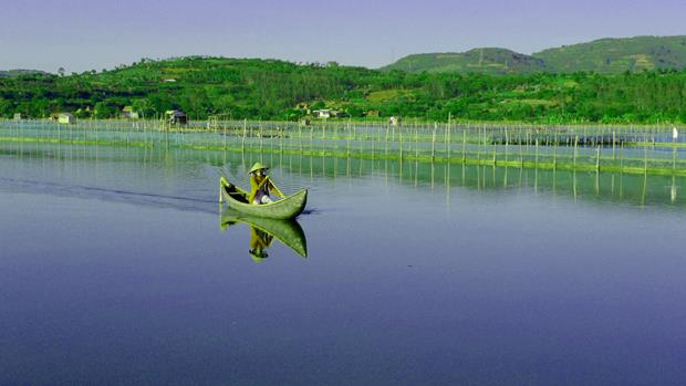 The lagoon boasts its rare seafood like shrimps, crabs, snails, fish, blood cockle, and oysters.