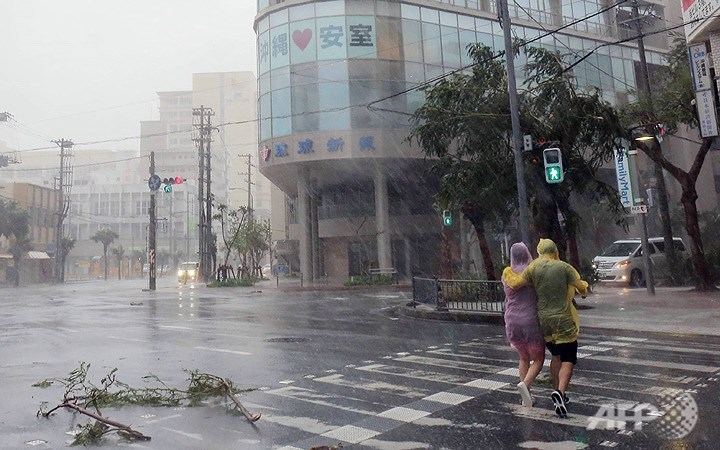 Đã có ít nhất 50 người bị thương liên quan tới các sự cố do bão Trami hoành hành tại các tỉnh Okinawa và Kagoshima của Nhật Bản. Ảnh: AFP