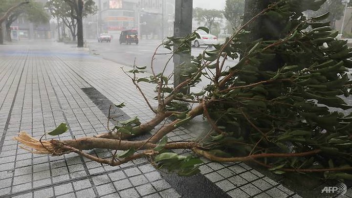 Hơn 1.000 chuyến bay bị hủy do ảnh hưởng của bão Trami. Tại Okinawa và Kagoshima, hơn 300.000 hộ dân rơi vào cảnh mất điện. Ảnh: AFP