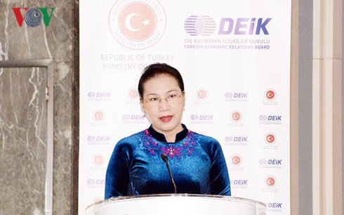 Chủ tịch Quốc hội dự Diễn đàn kinh doanh và đầu tư Thổ Nhĩ Kỳ-Việt Nam