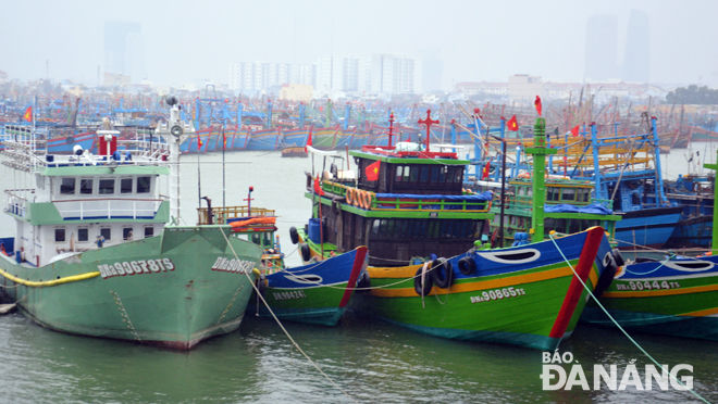 Vào mùa mưa bão, nhiều tàu cá từ các tỉnh về neo đậu trong Âu thuyền Thọ Quang quá đông làm chủ tàu cá của Đà Nẵng lo lắng.
