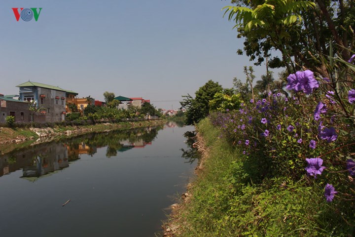Khu đất an táng nằm cạnh dòng kênh là một nhánh chảy ra sông Tô Lịch
