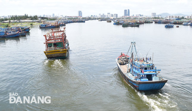 Since 2012, the city has seen a sharp increase in the number of high-capacity offshore fishing vessels