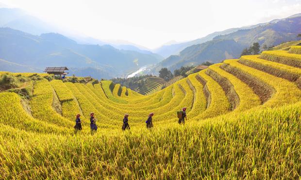 The San Nhu Hill