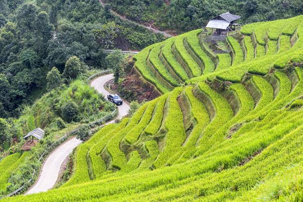 Convenient roads leading to popular destinations in Mu Cang Chai District