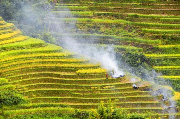 Smoke from terraced rice fields