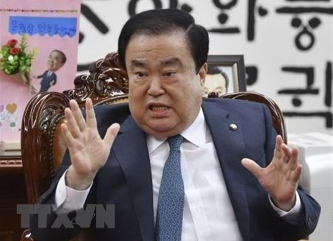 Chủ tịch Quốc hội Hàn Quốc Moon Hee-sang. (Nguồn: Kyodo/TTXVN)