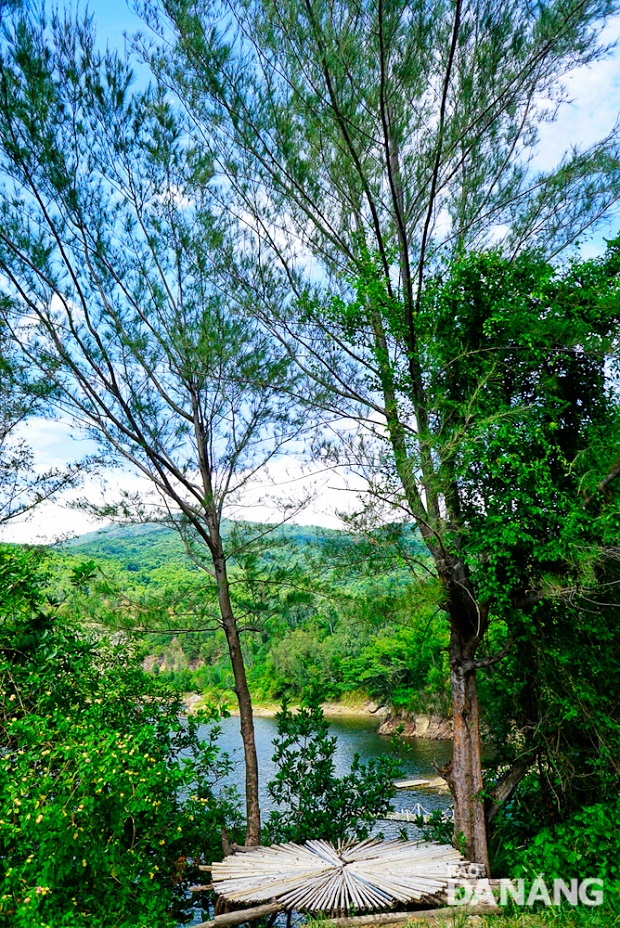 Green trees along the lake shore.