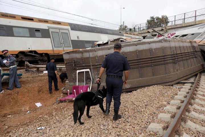 Lực lượng cứu hộ Ma Rốc dùng chó nghiệp vụ để tìm kiếm những người bị mắc kẹt trong các toa tàu.
