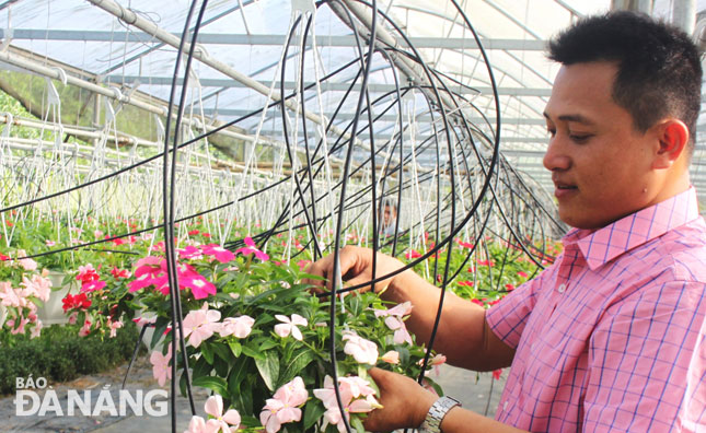 Anh Nguyễn Ngọc Chương đầu tư sản xuất hoa treo trong nhà màng ứng dụng công nghệ tưới nhỏ giọt ở xã Hòa Ninh.