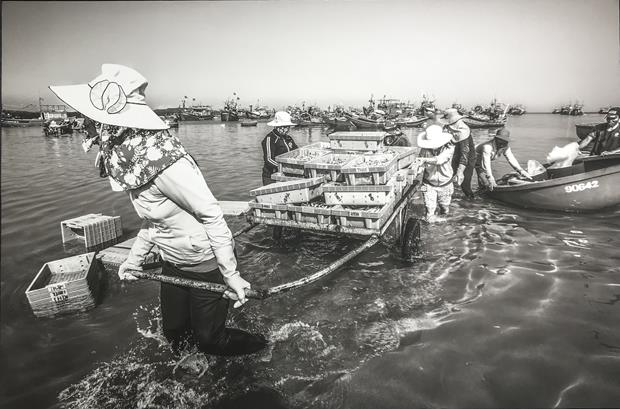 Women are busy transporting newly-caught seafood to the shore.