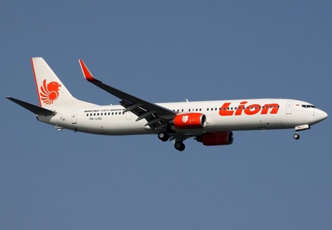 A Lion Air jet (Photo: Airline Ratings)