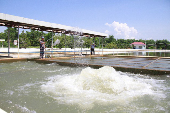 Cục Quản lý tài nguyên nước kiểm tra tình hình thiếu nước sinh hoạt tại Đà Nẵng