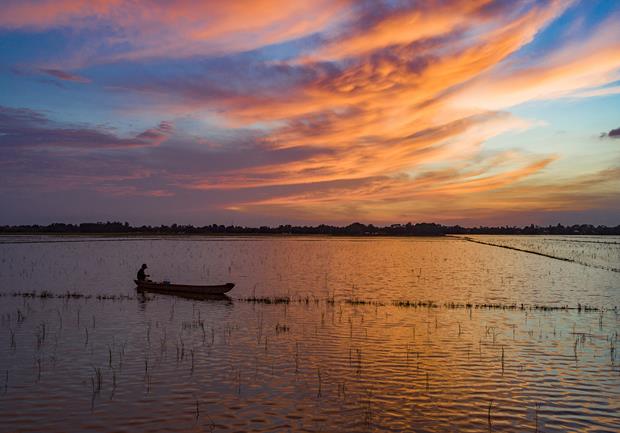 The beauty of a field full of water at sunset 