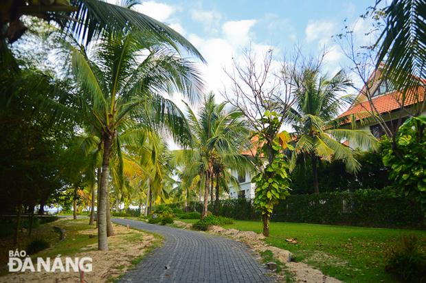 The 39m-long and 3m-wide footpath is underway at an estimated cost of 2.172 billion VND funded by the city budget. It is being paved with cubic stones in order to ensure the synchronicity with the existing walkway at the Ariyana Danang Tourism Complex.