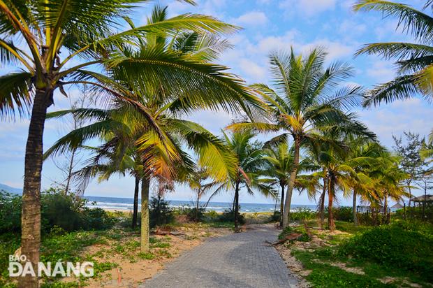 The coastal footpath is expected to be completed by 10 December.