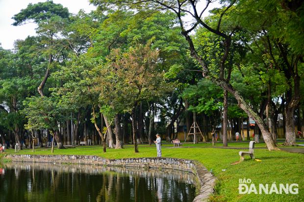 There are many large old trees and amazing green grass in the park.