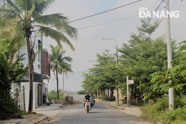 Giữa cơn lốc đô thị hóa, người dân tổ 36 phường Khuê Mỹ vẫn giữ được không gian xanh của rặng dừa và môi trường xanh, sạch, đẹp. 