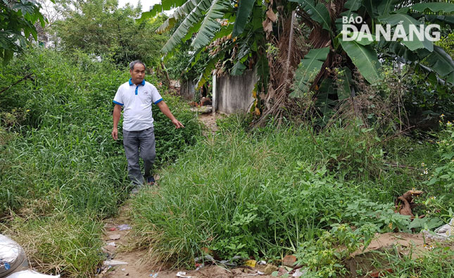 Recently, the My Thanh 2 residential area in Son Tra District’s Phuoc My Ward has seen a dramatic increase in the number of dengue cases.