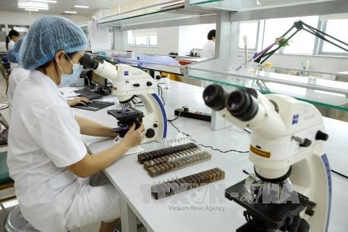 First-grade hospitals in the country are undertaking many activities for standardisation and quality control of medical laboratories to be able to share medical test results with each other (Illustrative photo: VNA)