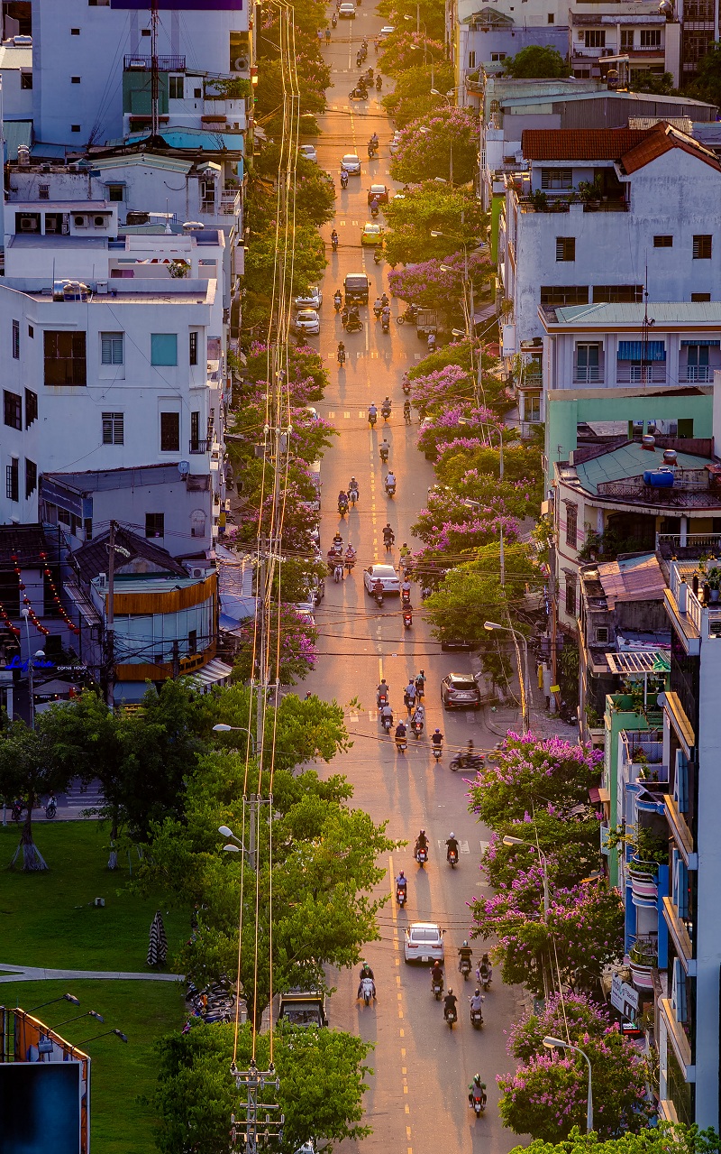 Con đường Bằng Lăng (The lagerstroemia street) - Tác giả Lê Quang Thiện