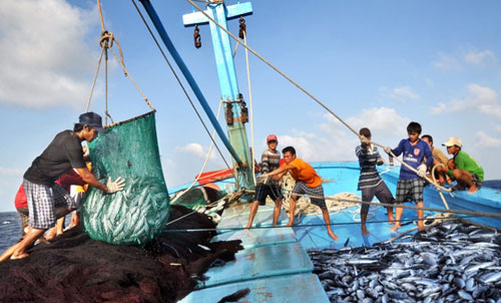 Đề xuất chính sách mới hỗ trợ khai thác thủy sản xa bờ