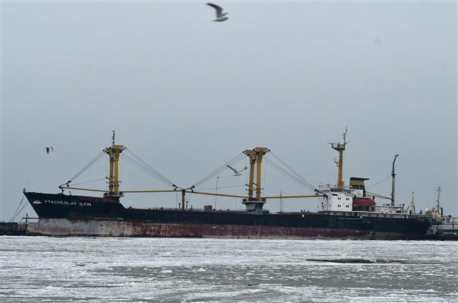Tàu chở hàng hóa neo tại cảng Mariupol trên biển Azov, phía đông Ukraine ngày 2/12/2018. Ảnh: AFP/ TTXVN
