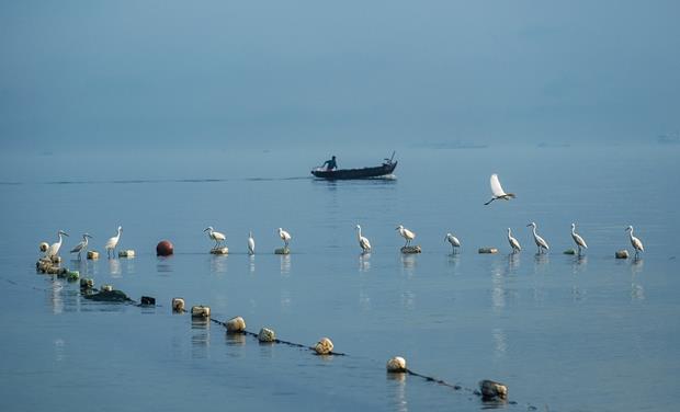 ‘Doi Ca’ (Waiting) by Le Huynh Nghia