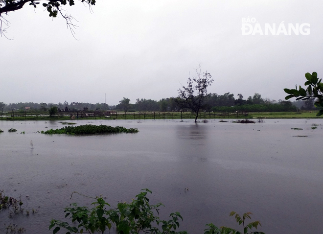 Nước ngấp nghé nhà dân tại thôn Lệ Sơn Nam. Hòa Tiến, Hòa Vang