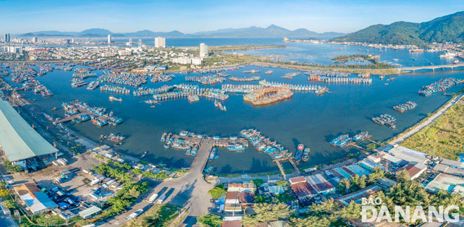 Toàn cảnh cảng cá Thọ Quang.