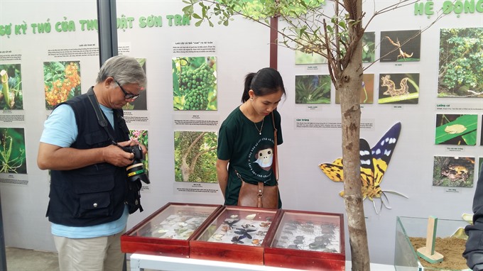 Visitors look at samples of butterflies and photos of wildlife found in the reserve. 