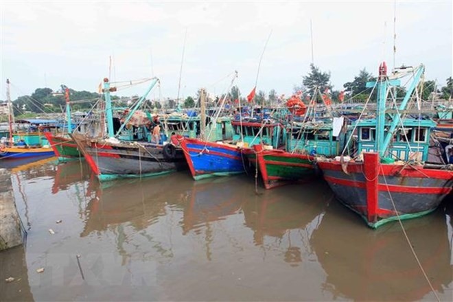 Ships safely anchored, awaiting Typhoon Pabuk. — VNA/VNS Photo Read more at http://vietnamnews.vn/society/483089/typhoon-pabuk-to-cause-heavy-rains-rough-seas.html#YEjZKfaSeO1dxsmh.99