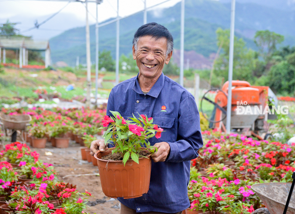 Taking advantage of favourable weather conditions, flower growers have been busy replanting vegetables and flowers for serving the upcoming Tet Festival after their plants were damaged by recent prolonged rain.