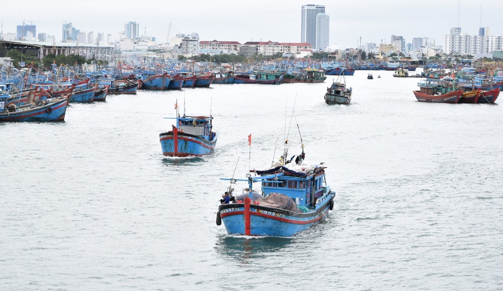 Nhiều tàu cá bắt đầu rời âu thuyền Thọ Quang ra khơi đánh bắt chuyến đầu tiên của năm 2019.