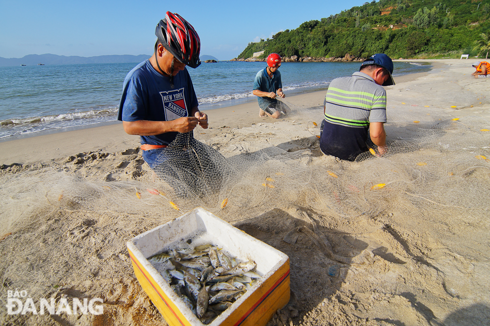 Visitors to the Tien Sa area are seen eagerly catching fresh seafood