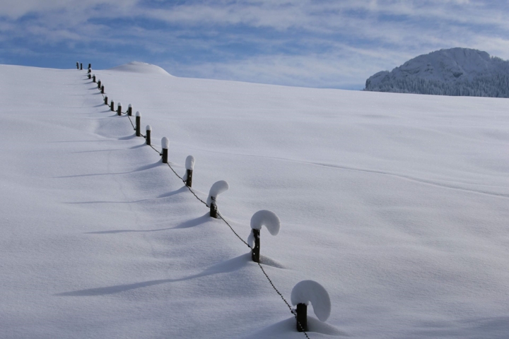 Những hàng rào gần như bị tuyết phủ kín ở Schwangau, Đức. Ảnh: AFP