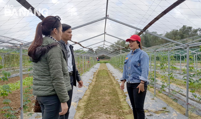 Ms Hanh introducing her organic agricultural production model to the district-level managerial officials 