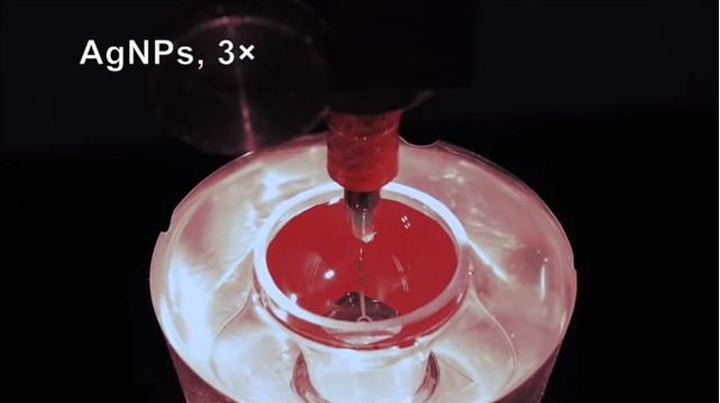 Mô và cơ quan sinh học nhân tạo được tạo ra nhờ công nghệ in 3D mở ra một bước tiến mới cho các bộ phận cấy ghép. Cụ thể, năm 2018, Đại học Texas tại Galveston đã thành công trong việc tạo ra phổi và mô tim sinh học cấy ghép thành công vào lợn mà không gây biến chứng.