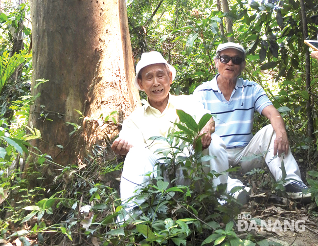 Ông Hoàng Đình Bá và ông Hồ Duy Diệm trong một chuyến thăm lại khu vườn thực nghiệm Sơn Trà. Ảnh: TIỂU YẾN