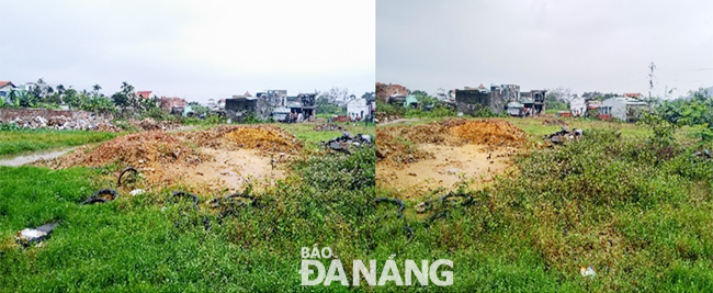 Khu đất rộng hơn 6.000m2, trong đó có 4 lô đất mà bà Nguyễn Thị Vân đã mua của 4 hộ, hiện còn 11 hộ có sổ đỏ nhưng chưa xác định được ranh giới rõ ràng.