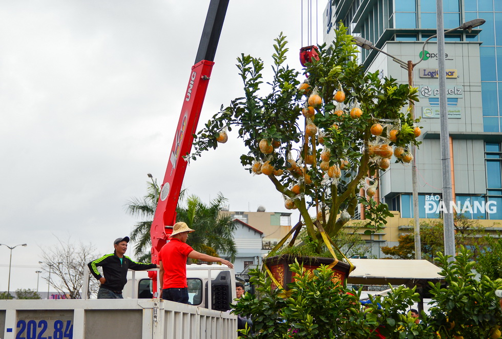 A large grapefruit is moved by a crane.