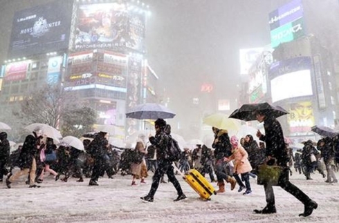 Nhật Bản chìm trong giá lạnh khắc nghiệt, 100 chuyến bay bị hủy