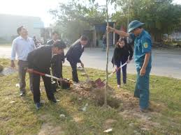 Huyện Hòa Vang phát động trồng cây xây dựng nông thôn mới