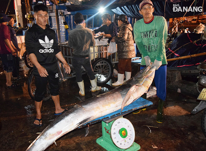 Fishing vessel DNa 90998 TS caught 2 sailfish weighing 55kg and 56kg respectively.