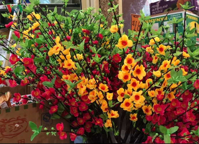 Tại Australia đang là mùa hè nên tại chợ còn bán cả hoa mai, hoa đào giả để tạo không khí Tết giống như quê nhà.